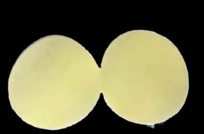 Al Warkaa Flat Raw Pellet